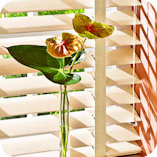 Luxaflex Colonial 68mm Woods 